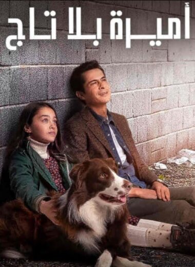 مسلسل اميرة بلا تاج مدبلج